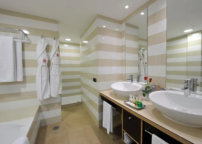 尼瓦利亚花园酒店 5* 阿德耶