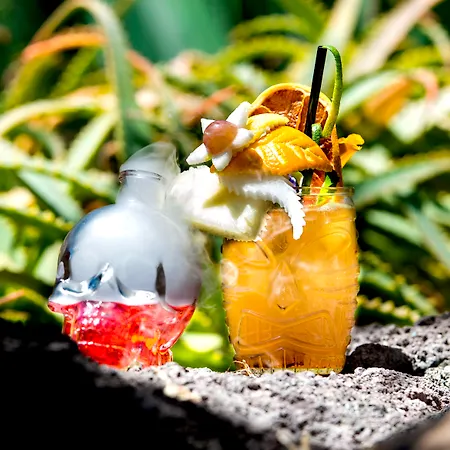 酒店 尼瓦利亚花园酒店 5*