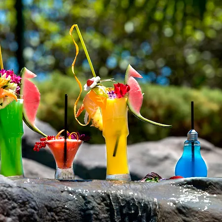 酒店 尼瓦利亚花园酒店 阿德耶