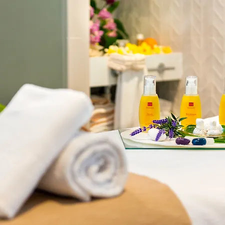 尼瓦利亚花园酒店 阿德耶