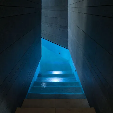 أدريان هوتيلز جاردينز دي نيفاريا أذيخي