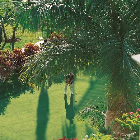 尼瓦利亚花园酒店 5* 阿德耶