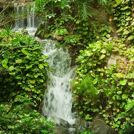尼瓦利亚花园酒店 阿德耶