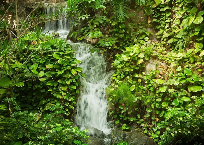 Adrian Jardines De Nivaria Адехе