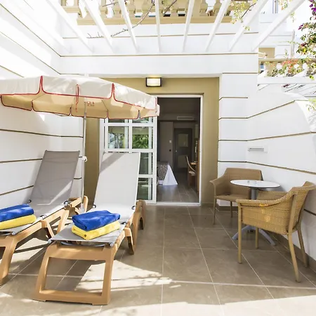 아드리안 오텔레스 하르디네스 데 니바리아